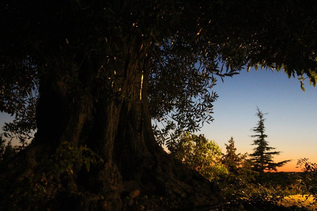 ホテル La Campagne De Petre Entrevennes エクステリア 写真